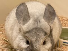 -龙猫仔乐园(惠福东路店)