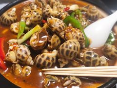 辣酒花螺-富来美食