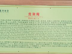 -青礁慈济宫