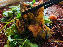 -胖大姐黄辣丁鱼庄(新津店)