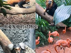 -红山森林动物园