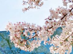 -龙美术馆(西岸馆)