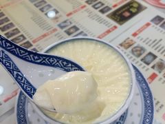 招牌双皮奶-捷信牛奶甜品世家(柳巷店)
