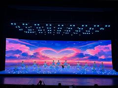 -中央芭蕾舞团·中芭艺蕾(酒仙桥明星校区)