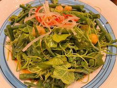 -巴依老爷新疆美食(常营店)