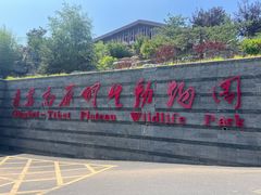 -青藏高原野生动物园