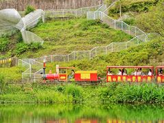 -黄龙溪欢乐田园