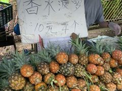 -西双版纳傣族园