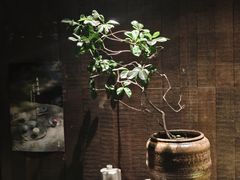 -元古本店(南锣鼓巷店)