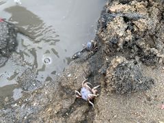 -彩虹沙滩