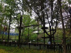 -WeLope紫金山探险公园