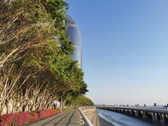 -演武大桥观景平台