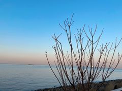 -上海滨江森林公园