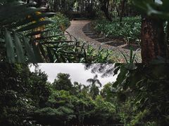 -燕晗山郊野公园
