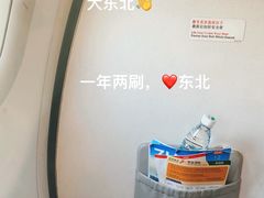 -哈尔滨太平国际机场-T2航站楼