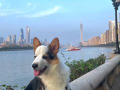 -珠江夜游广州塔·中大码头