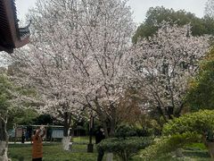 -堤角公园