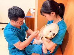 -美迦爱-牙专科·兔科·骨科诊疗中心(北苑店)