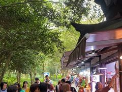 -普陀山慧济禅寺