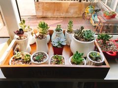 -吃饼人西餐(南开店)