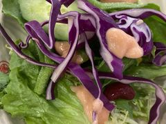 -素心素食(翠苑店)