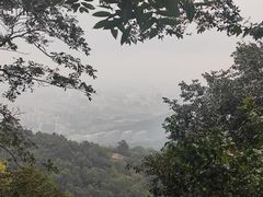 -灵顺寺