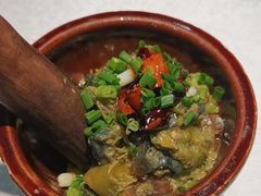 -洞庭家宴·头牌甲鱼(广渠门店)