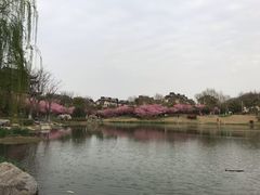 -南山风景名胜区