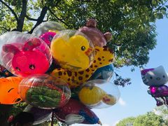 -上海海湾国家森林公园