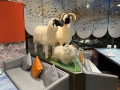 -百草滩羊清水涮羊肉·清真·宁夏盐池滩羊(莲花桥店)