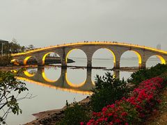 -万绿园