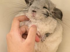 -龙猫仔乐园(惠福东路店)