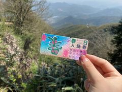 -莫干山风景区