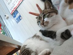 -铜瓢江湖兔火锅(水碾河社区店)