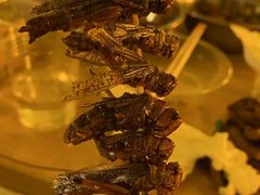 -南京环北服装批发市场