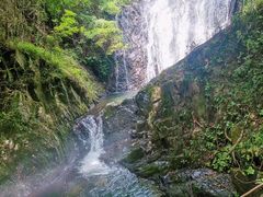 -梧桐山风景名胜区
