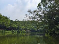 -李小龙乐园(顺德均安店)