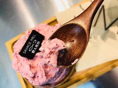 -野人先生现做冰淇淋(北京环宇荟店)