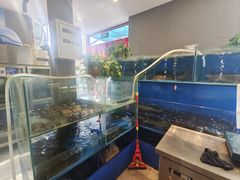 -白洋淀灶台鱼(名佳花园店)