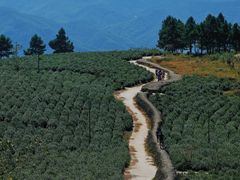 -莫干山风景区
