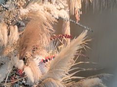 -生如夏花泰式火锅(西村黑金店)