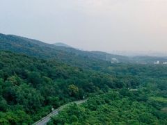 -南京老山国家森林公园