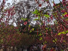 -桃花涧