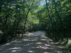 -金龙寺国家森林公园