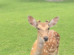 -必胜客(姜堰北大街店)