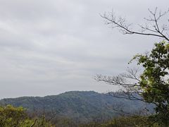 -天鹿湖森林公园