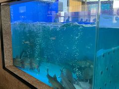 -淘米捞·米汤脆鲩鱼火锅(福田皇岗店)