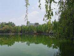 -莲湖公园