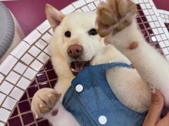 -和它·交个朋友·狗咖猫咖(爱琴海店)