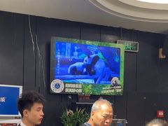 -眉州东坡(团结湖店)